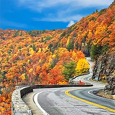 photo of fall foliage in the Catskills